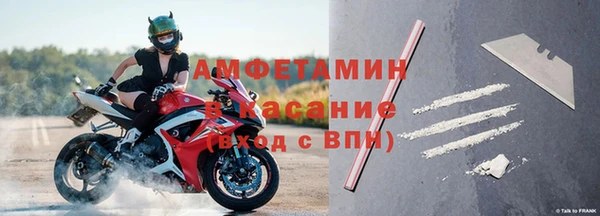 прущие грибы Богородицк