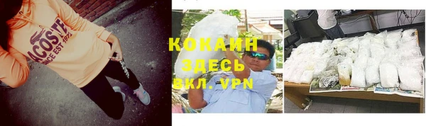 прущие грибы Богородицк