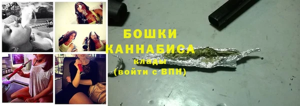 прущие грибы Богородицк