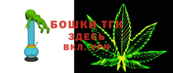 прущие грибы Богородицк