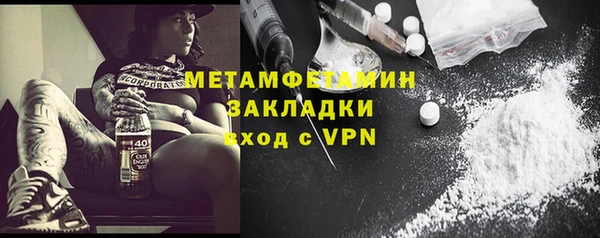 прущие грибы Богородицк
