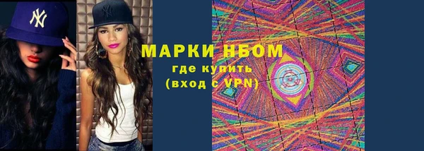 прущие грибы Богородицк