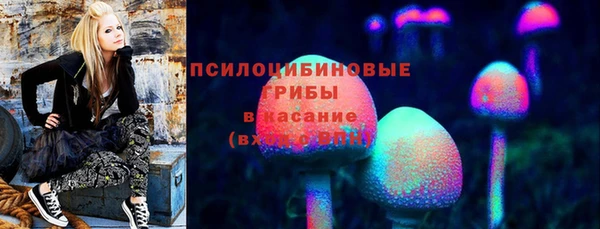 прущие грибы Богородицк